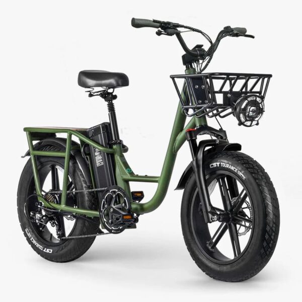Fiido T1 Pro Vélo électrique Cargo – Image 3