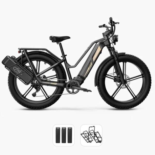 Fiido Titan Vélo électrique Cross & Randonnée – Image 7