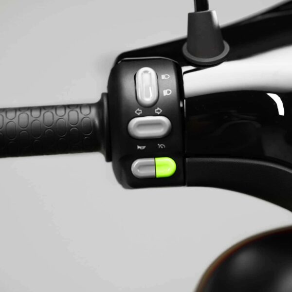 Scooter Electrique Horwin EK3 DS – Image 2